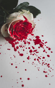 The tragic Greek Origin of the red rose.